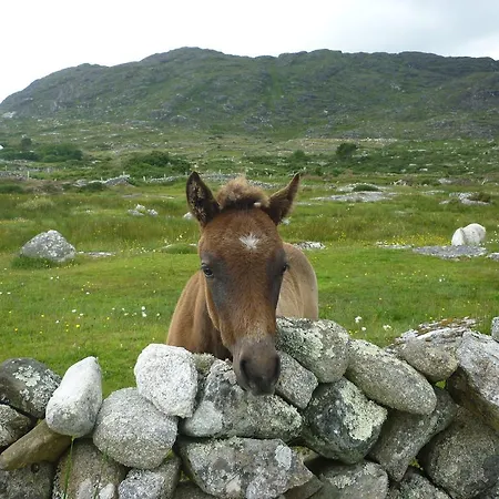 Errisbeg Roundstone