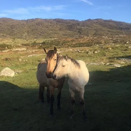 Errisbeg Bed & Breakfast Roundstone