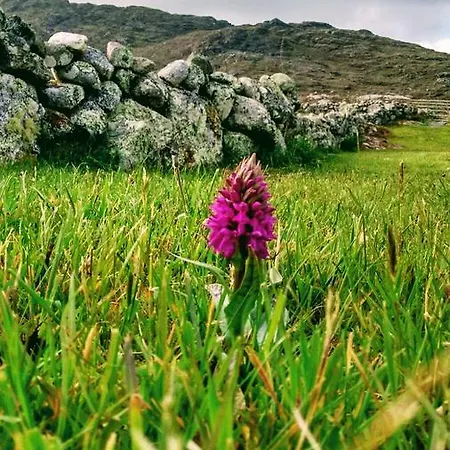 Errisbeg Roundstone