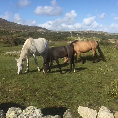 Bed & Breakfast Errisbeg 3*